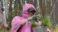Более 168 тысячи деревьев высадили в Свердловской области в рамках акции «Сохраним лес»