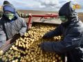 Свердловские аграрии убрали с полей свыше 80% зерновых культур