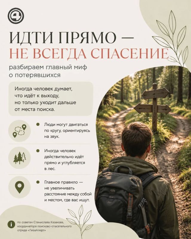 Заблудились в лесу — не бегите: рассказываем, как не усложнить поиск Заблудились в лесу — не бегите: рассказываем, как не усложнить поиск