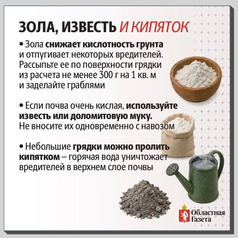 Как обеззаразить уральские грядки в октябре Как обеззаразить уральские грядки в октябре