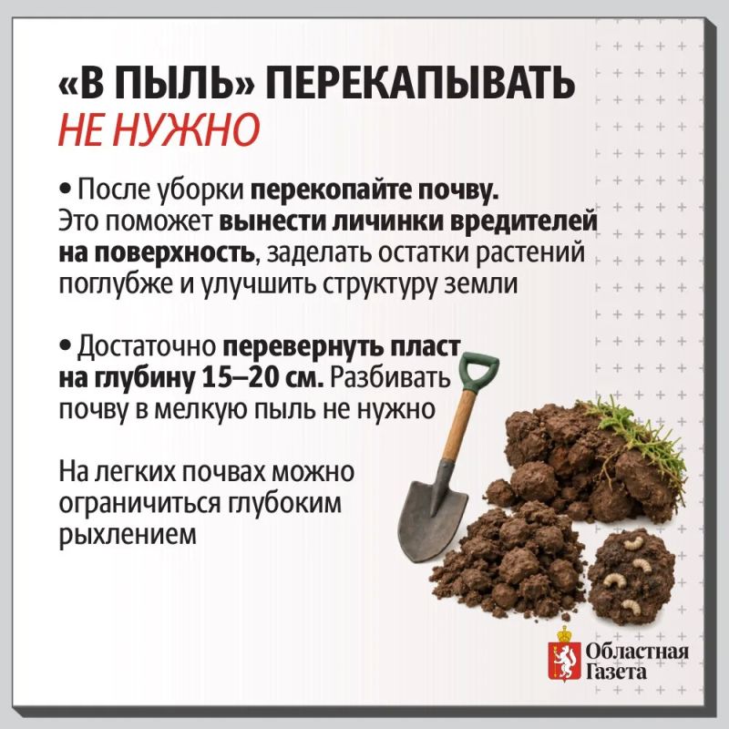 Как обеззаразить уральские грядки в октябре Как обеззаразить уральские грядки в октябре
