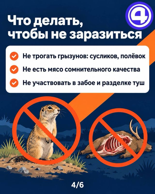 Чума в Иркутске оказалась пневмонией Чума в Иркутске оказалась пневмонией