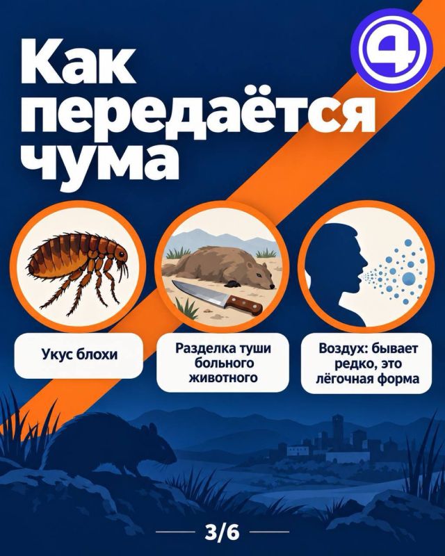 Чума в Иркутске оказалась пневмонией Чума в Иркутске оказалась пневмонией