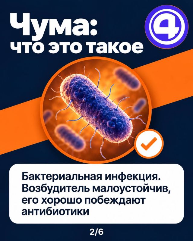 Чума в Иркутске оказалась пневмонией Чума в Иркутске оказалась пневмонией