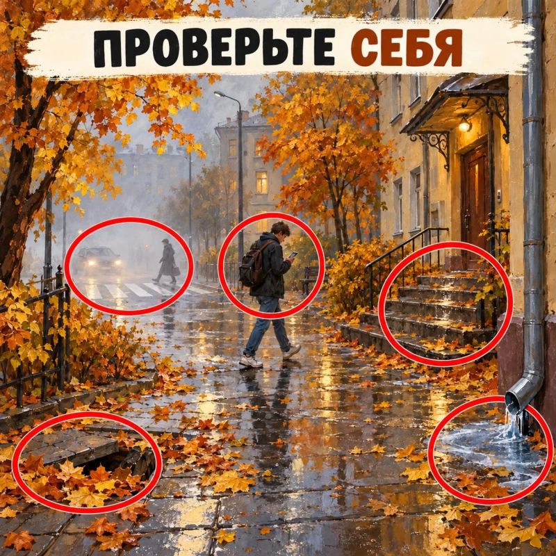 Осенью важно смотреть не только под ноги, но и по сторонам Осенью важно смотреть не только под ноги, но и по сторонам