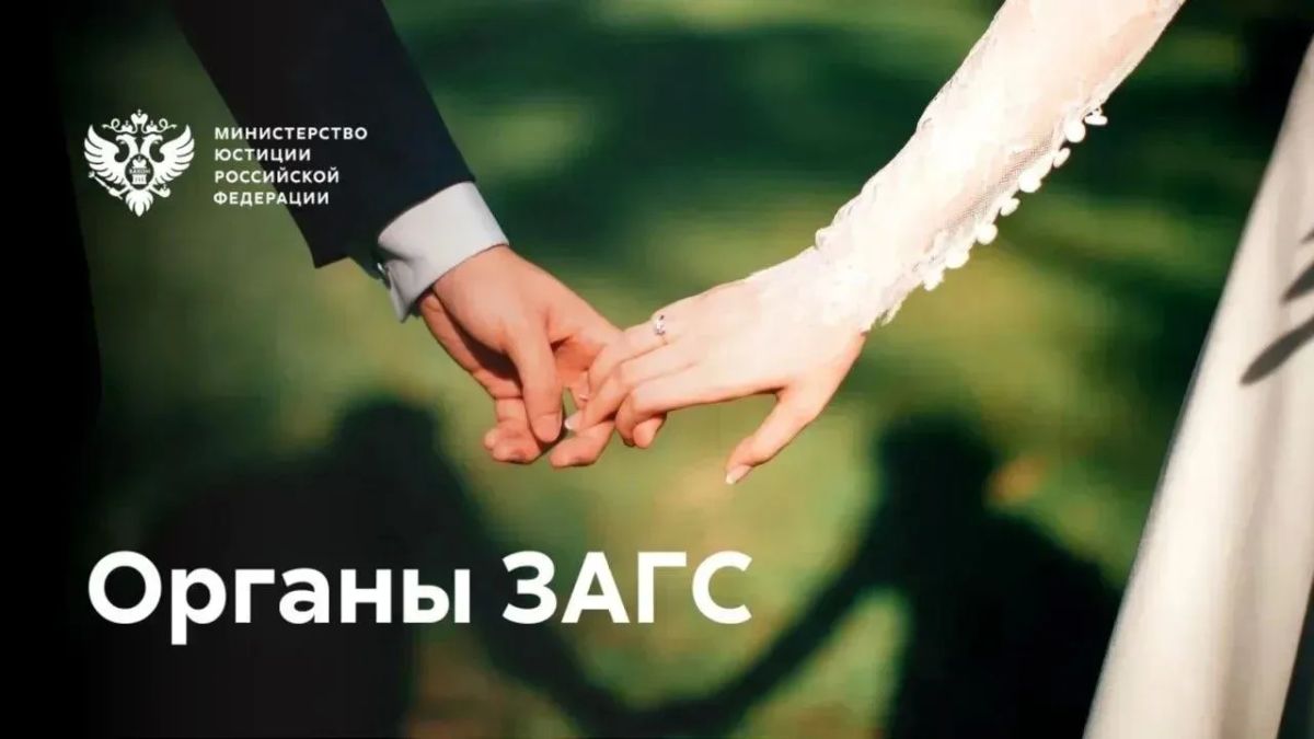 В Свердловской области запущен цифровой помощник по вопросам ЗАГС "Катюша"