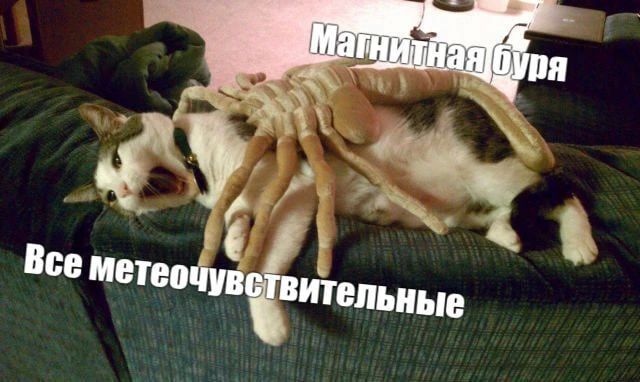 Магнитная буря накроет сегодня Екатеринбург