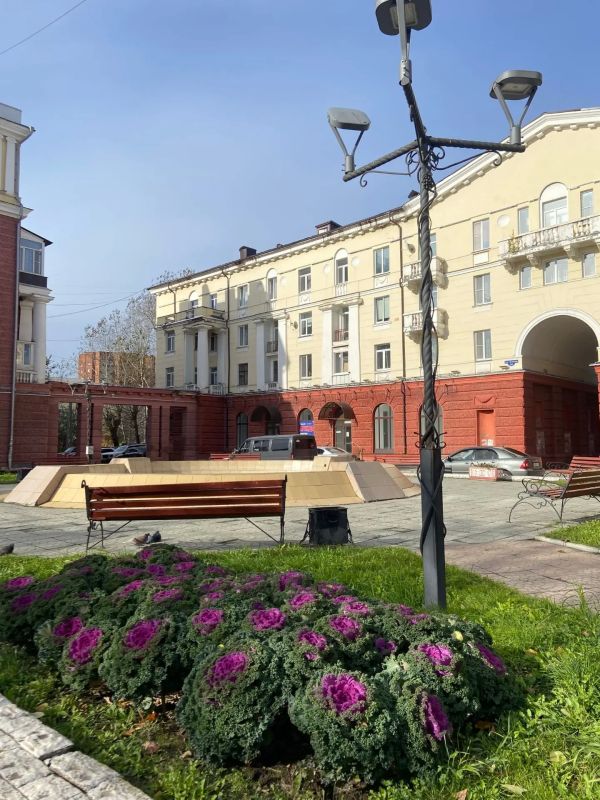 А вы видели оригинальное украшение сквера по улице Ленина, 46? Это декоративная капуста! А вы видели оригинальное украшение сквера по улице Ленина, 46? Это декоративная капуста!