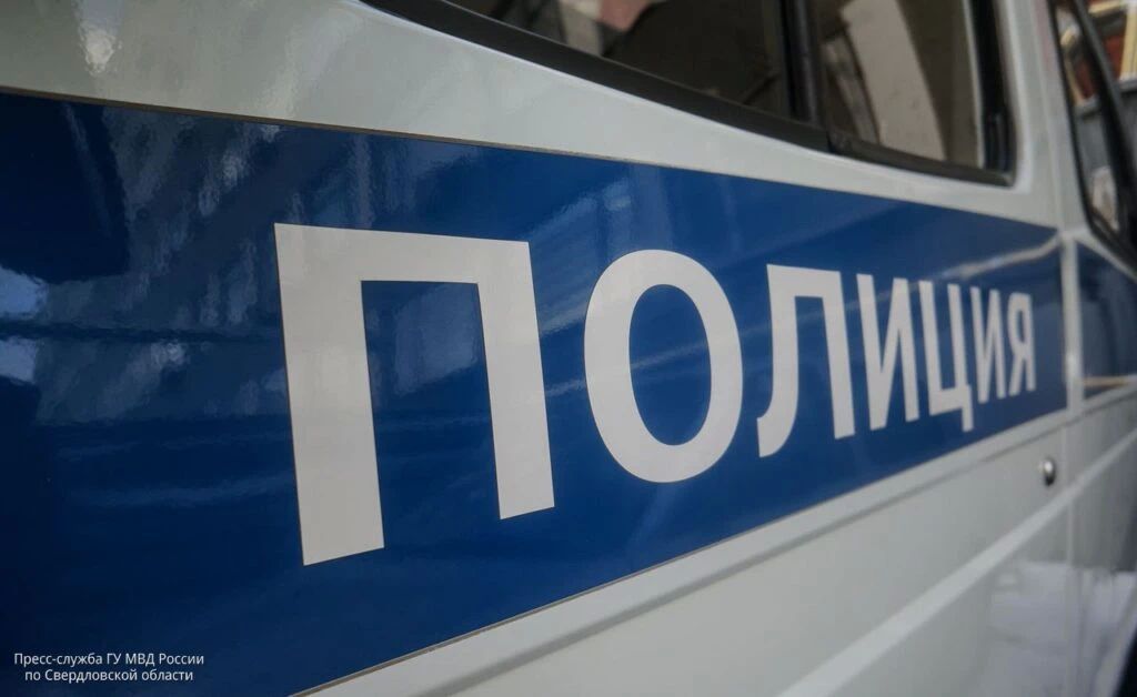 В Екатеринбурге троим иностранным гражданам предъявлено обвинение в разбойном нападении на школьников