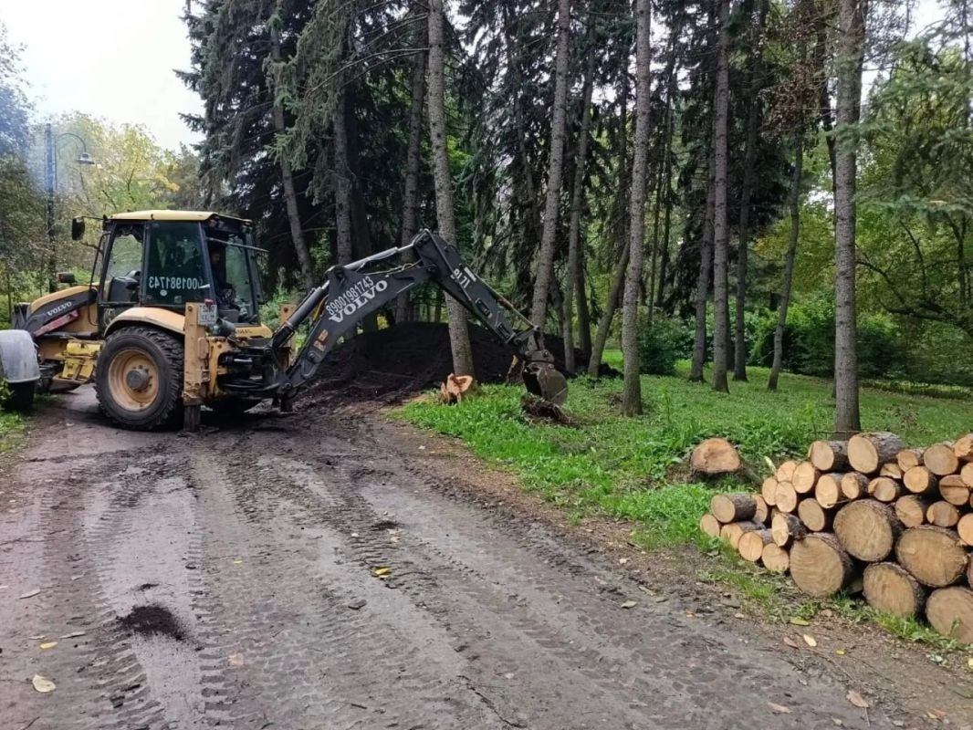 Дендропарк на Первомайской будет закрыт еще месяц Дендропарк на Первомайской будет закрыт еще месяц