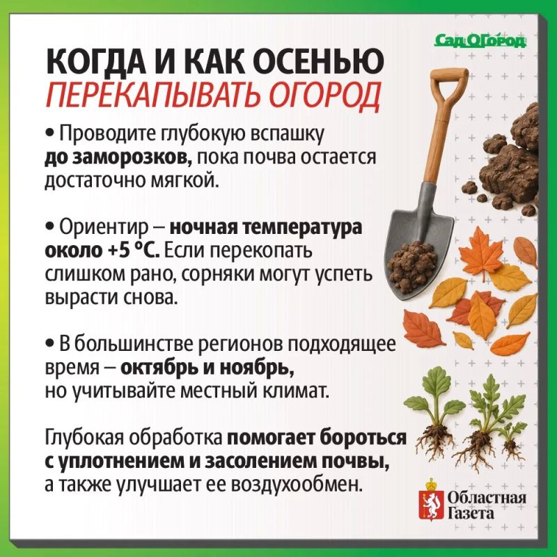 «Копать! Но когда и как?»: о преимуществах и правилах осенней вспашки земли на садовом участке «Копать! Но когда и как?»: о преимуществах и правилах осенней вспашки земли на садовом участке