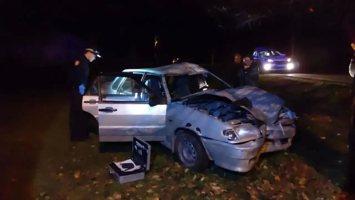 Мужчина погиб, врезавшись в корову на дороге в Красноуфимском районе