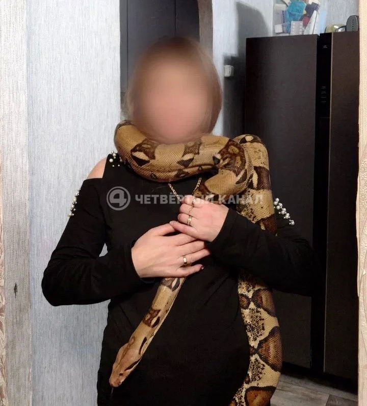 ЭКСКЛЮЗИВ Екатеринбурженка требует полмиллиона с заводчицы экзотических животных
