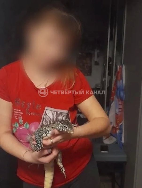 ЭКСКЛЮЗИВ Екатеринбурженка требует полмиллиона с заводчицы экзотических животных ЭКСКЛЮЗИВ Екатеринбурженка требует полмиллиона с заводчицы экзотических животных