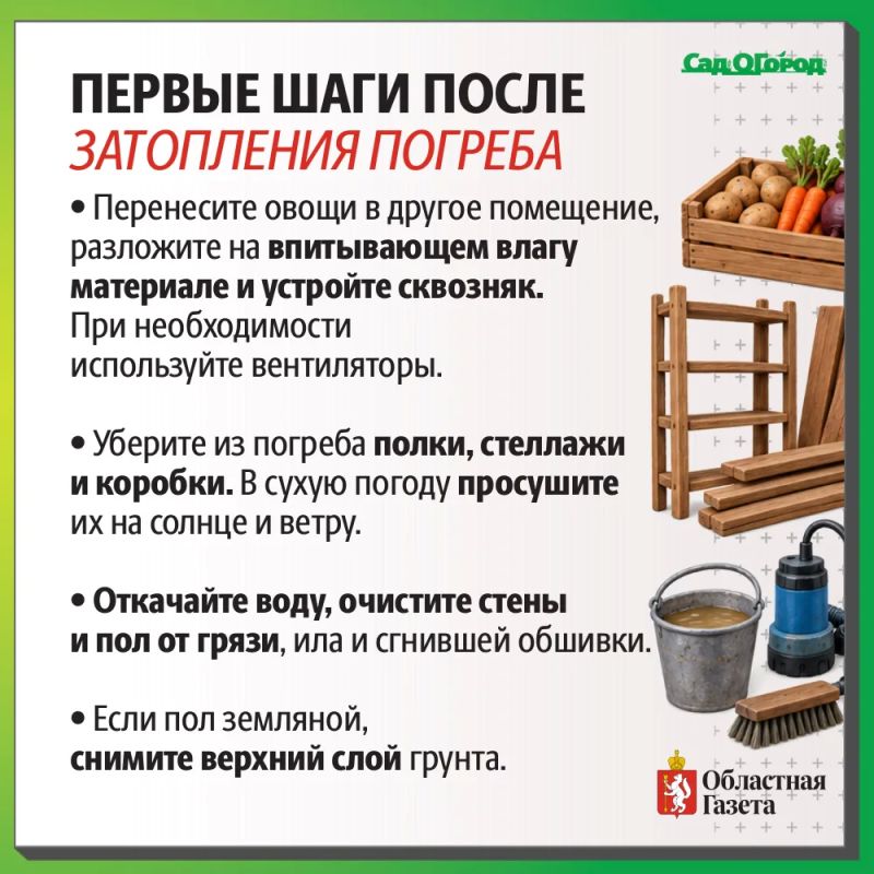 Затопило погреба и овощные ямы? Рассказываем как спасти урожай! Затопило погреба и овощные ямы? Рассказываем как спасти урожай!