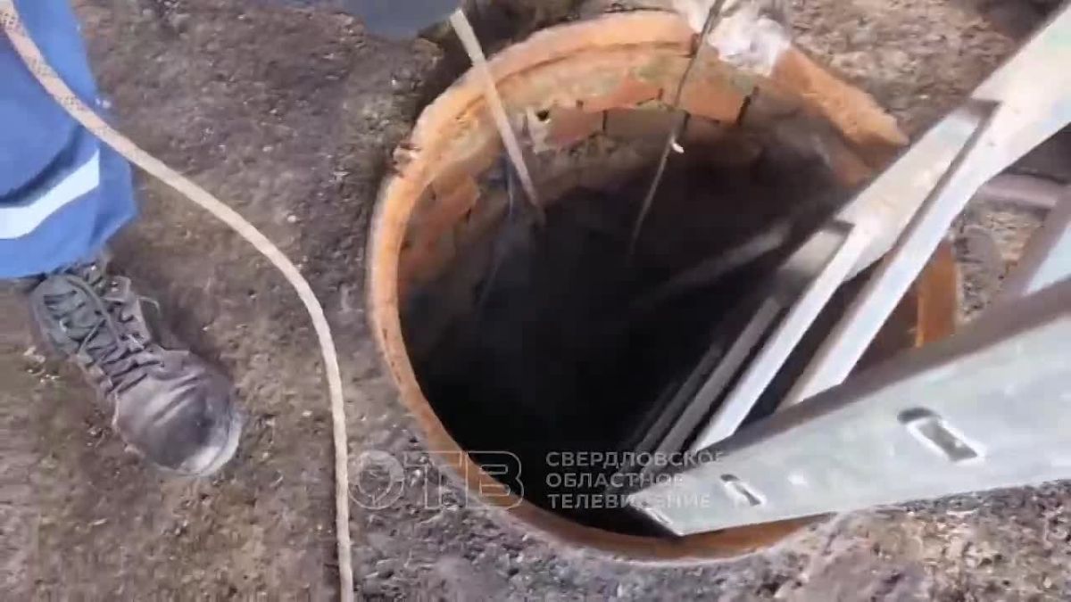 Спасатели вытащили собаку из пятиметрового колодца на стадионе Нижнего Тагила