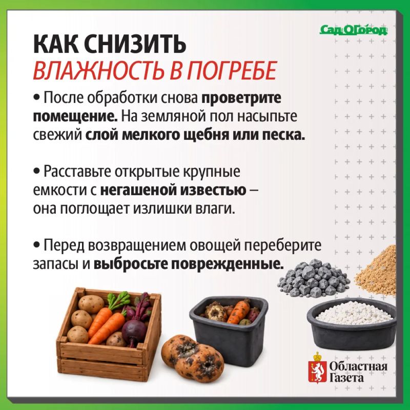 Затопило погреба и овощные ямы? Рассказываем как спасти урожай! Затопило погреба и овощные ямы? Рассказываем как спасти урожай!