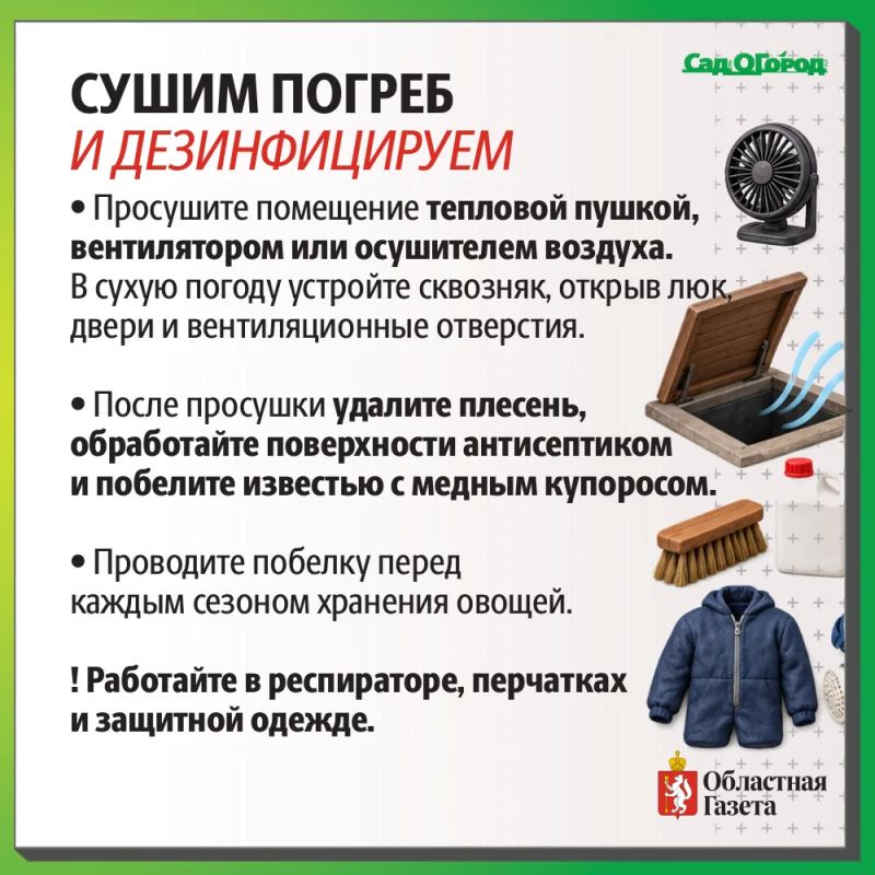 Затопило погреба и овощные ямы? Рассказываем как спасти урожай! Затопило погреба и овощные ямы? Рассказываем как спасти урожай!