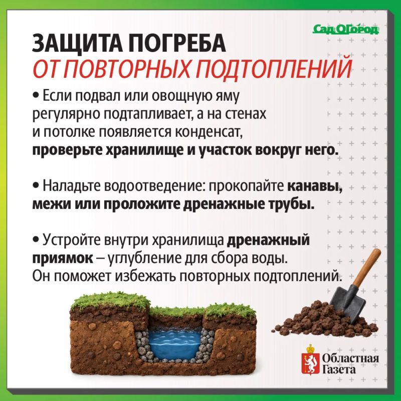 Затопило погреба и овощные ямы? Рассказываем как спасти урожай! Затопило погреба и овощные ямы? Рассказываем как спасти урожай!
