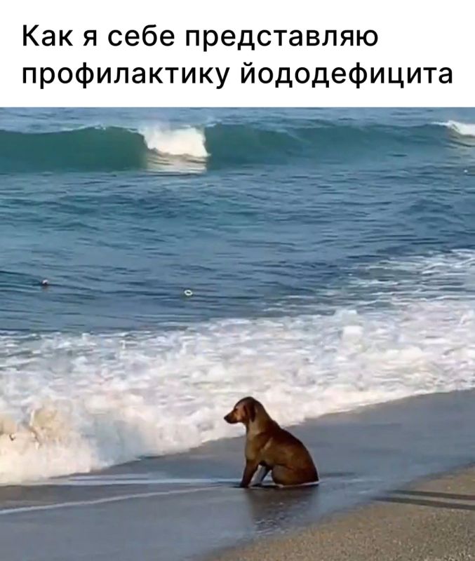 А вы знали, что сегодня Всемирный день борьбы с йододефицитом?