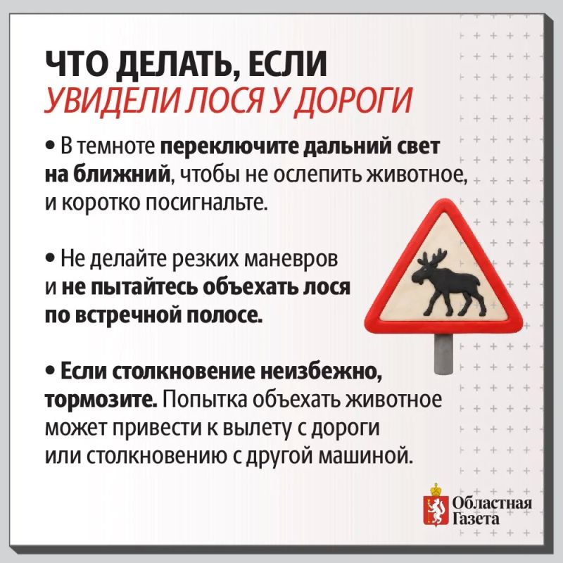 На трассе под Невьянском водитель «Лады» сбил лося и вылетел в кювет На трассе под Невьянском водитель «Лады» сбил лося и вылетел в кювет