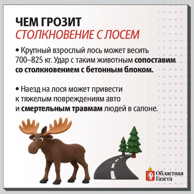 На трассе под Невьянском водитель «Лады» сбил лося и вылетел в кювет На трассе под Невьянском водитель «Лады» сбил лося и вылетел в кювет