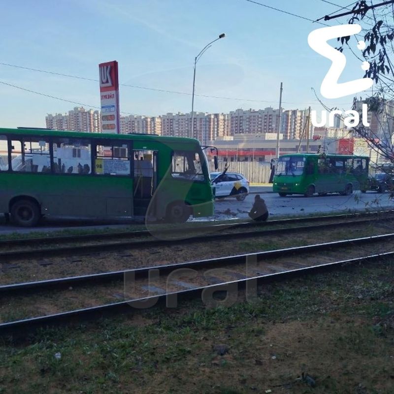 Школьники из 98-го автобуса возвращались с кулинарного квеста