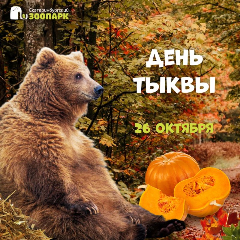 День тыквы пройдет в Екатеринбургском зоопарке