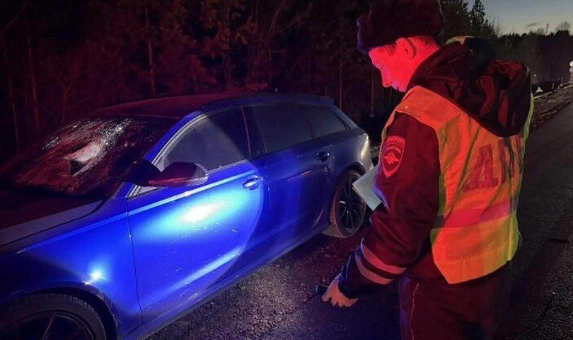 ГАИ ищет очевидцев смертельного наезда Audi на пенсионера под Берёзовским
