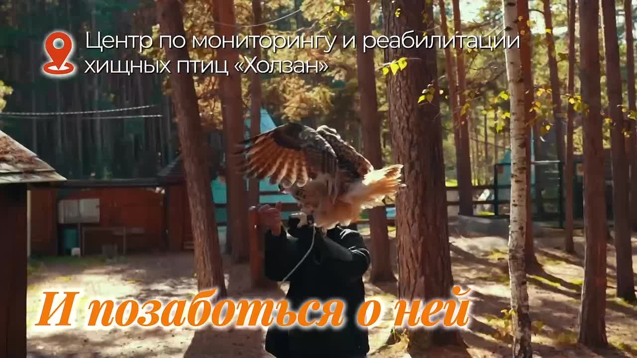 Денис Паслер: В этом году на Среднем Урале была настоящая золотая осень, вдохновляющая на очередное путешествие по нашему региону