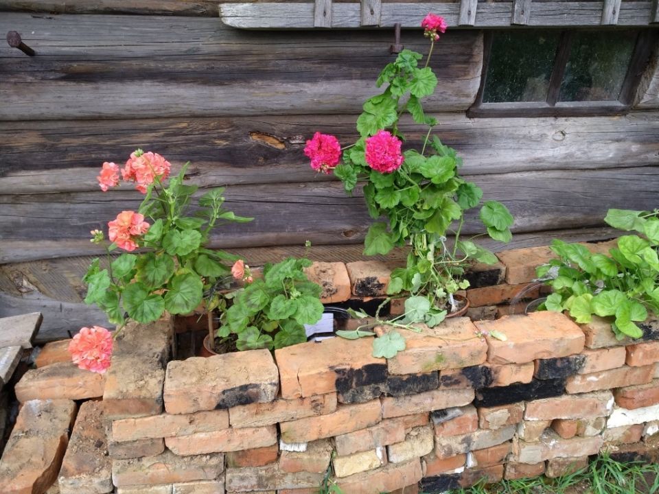 �� ������������ ������ ������: ���� ��� ������������� �� ����