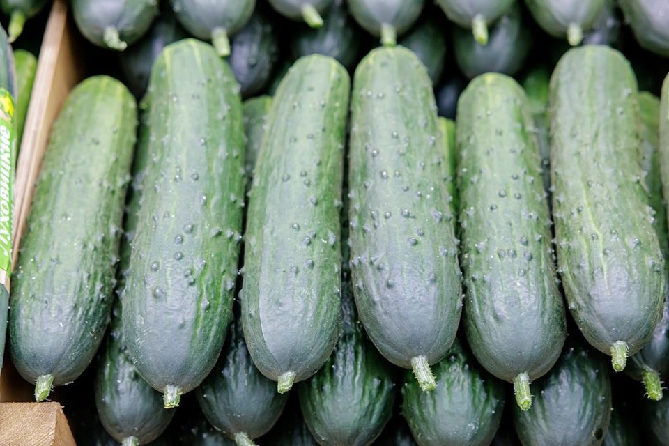 ������ � ������ ������� ������, � ������� �� �� �����������