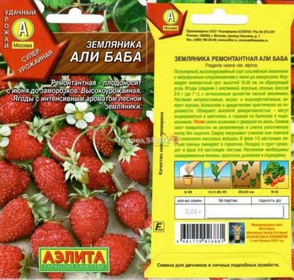 Секреты успешного выращивания ремонтантной клубники