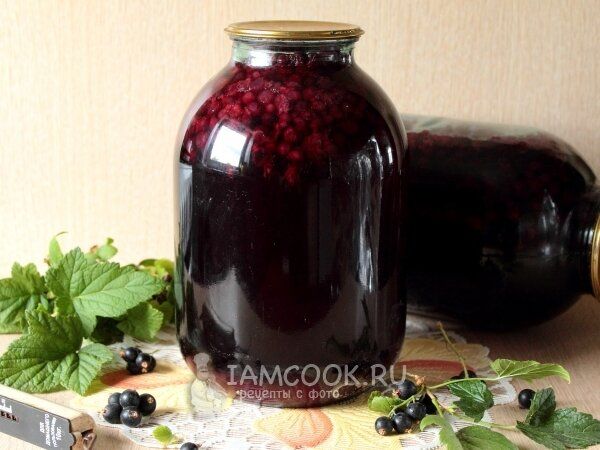 зимой с удовольствием: как заготовить вкусный компот из смородины