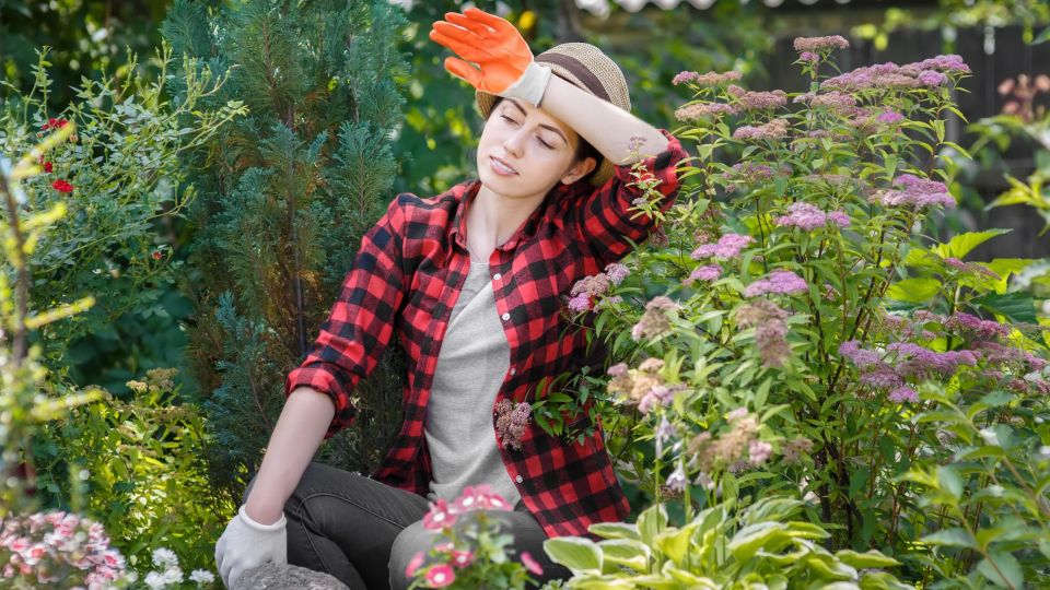 Одно растение и куча пользы: вот что должно быть в саду у каждого дачника