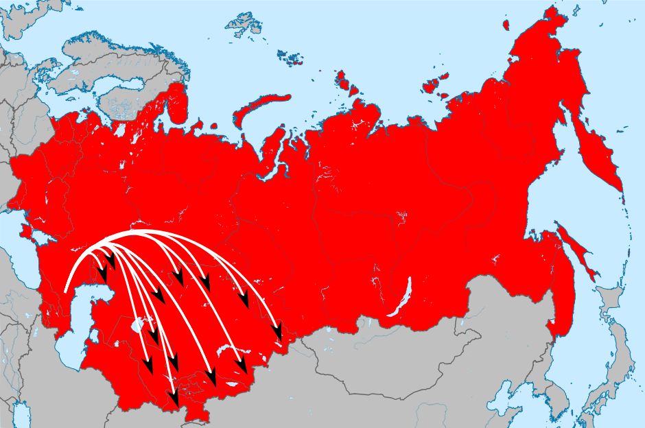 Как суд вернул справедливость пенсионерке: история о борьбе с системой