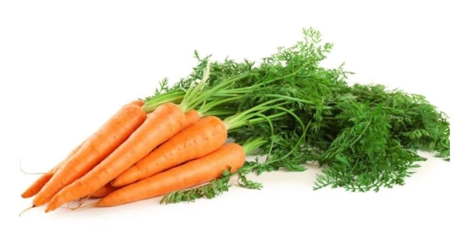 �������: ������������ �������� � ����������� ���������