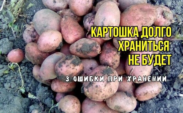 ����� �������� ��������: ��� �������� ���������������� ������