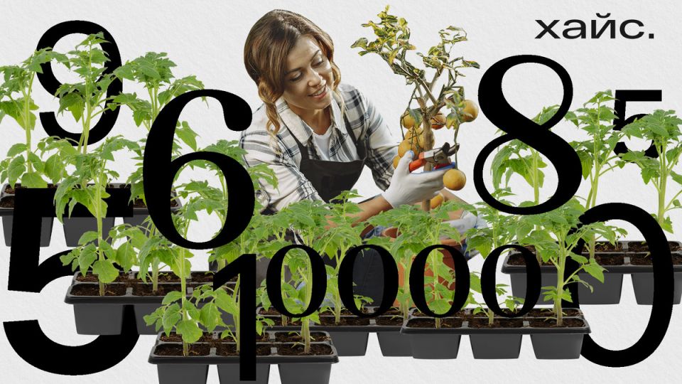 ������� ����� �����, ����� ���� �� ������ � 40 ��� � ������