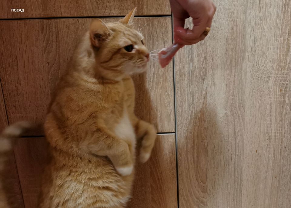 ������������� ������� �����: ��������� ����� ��� ���������