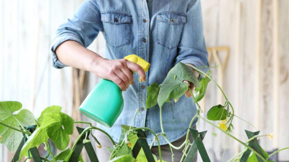 ������� � ������, � ��������: ������� �� ����������� ��� ���������� ���������