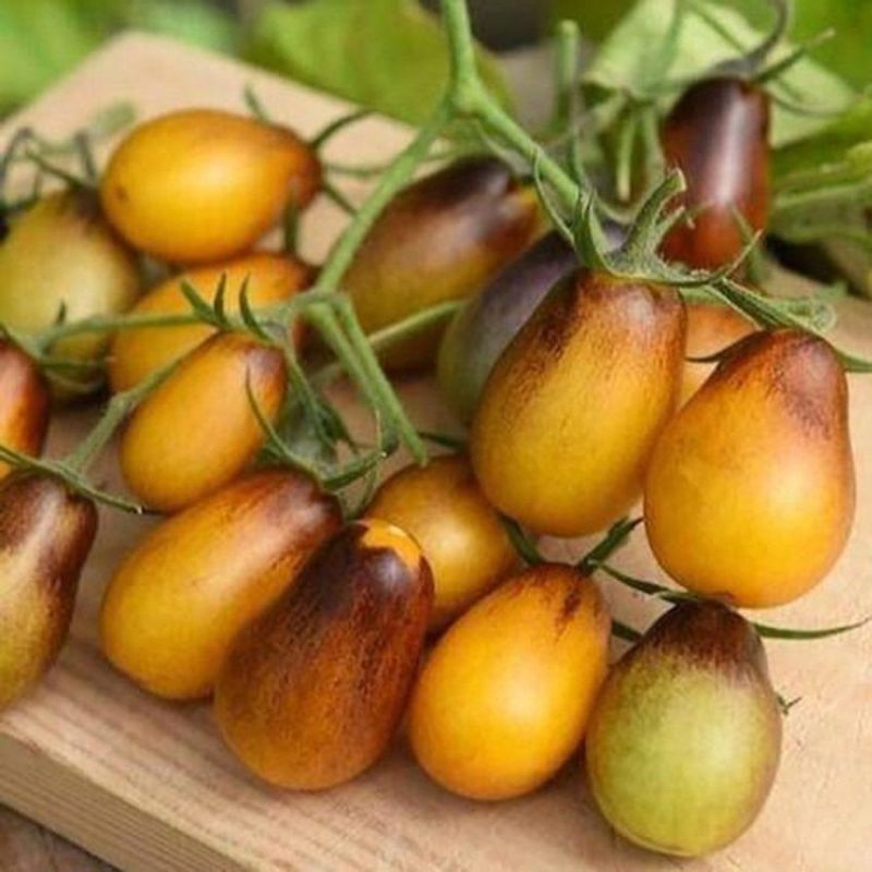 ����� ����� ����� ������: �������� � �������� � ����� �����