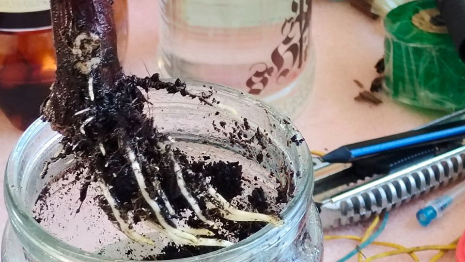 ���� �� ��������� ���������: ��� ������ �� ������� � �������� �����?