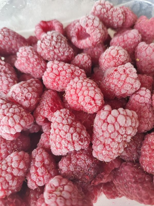 ������ ������: ��� ����� �������� ����������� �������