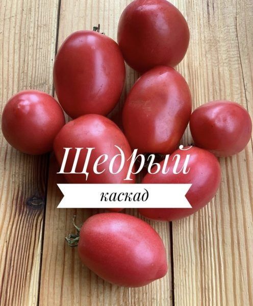 ����� ������� ������: ��� �������� �������� ������ �� ������� �����