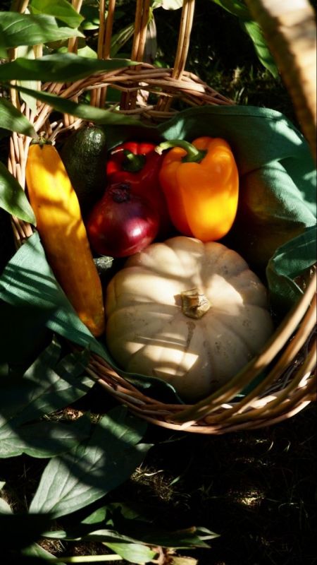 �������� � ��������