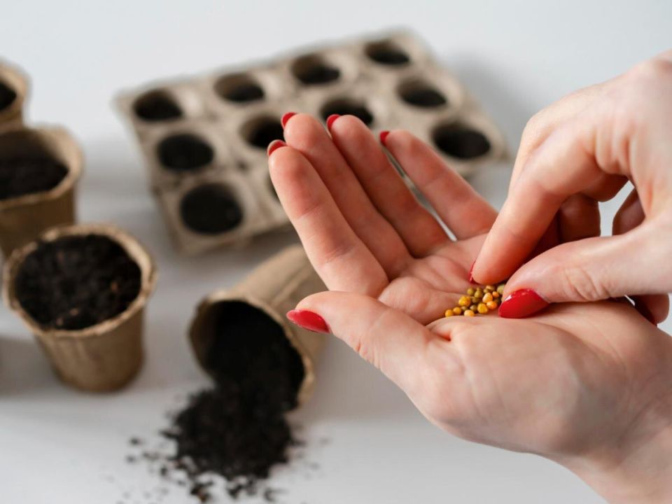 ����� ���������� ��������: �� �������� ���� �� ������� ������