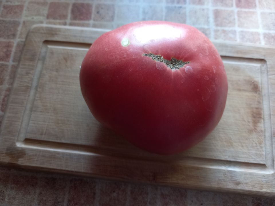 ������� ������ ������ - ���������� ���� ������, �������������� � ����� ��������