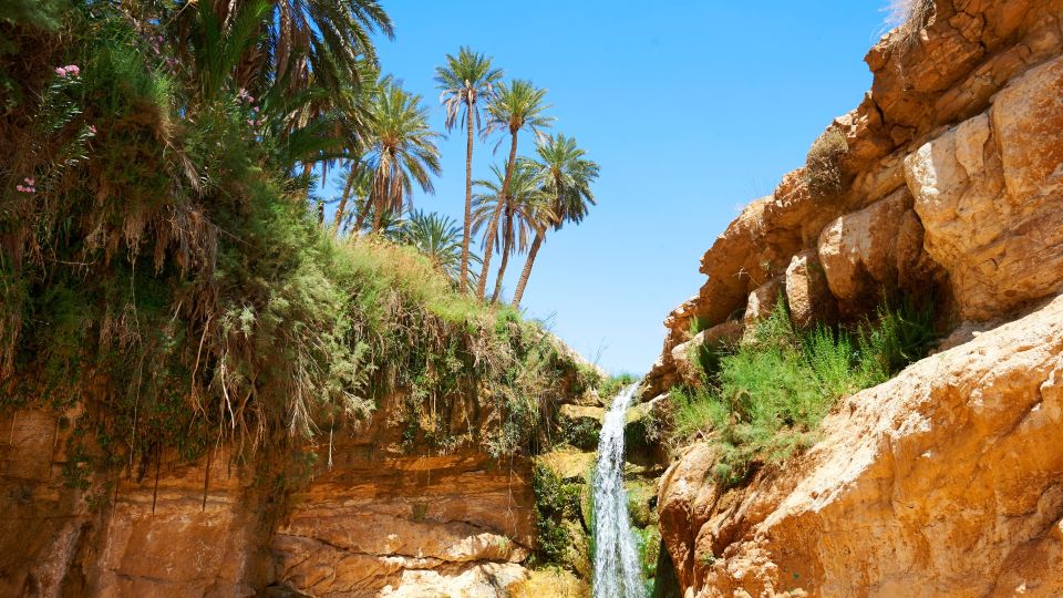 ����� ����� ����� �������� � ������: �� ��� ������ ��������� ������