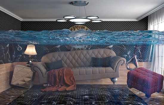 ��� �������� ����������� �� ����� �� ����������� ��������